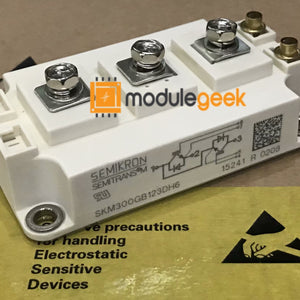 1Pcs Power Supply Module Semikron Skm300Gb123Dh6 New 100% Best Price And Quality Assurance Module
