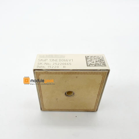 1PCS SEMIKRON SKIIP13NEB066V1 power supply module NEW 100% Quality Assurance NEW 100% Best price and quality assurance
