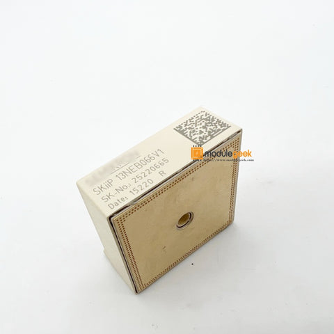 1PCS SEMIKRON SKIIP13NEB066V1 power supply module NEW 100% Quality Assurance NEW 100% Best price and quality assurance